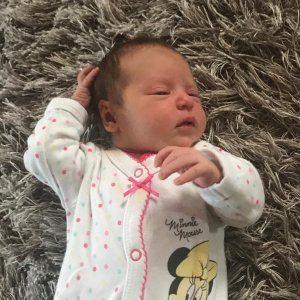 Lola Pilloud