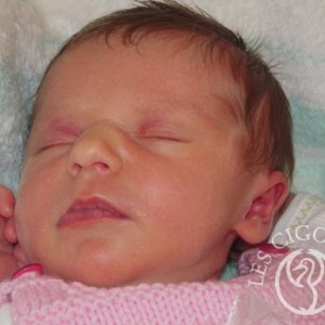 Lilou Kottelat
