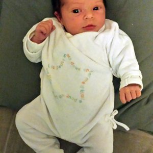 Deeanne Fringeli