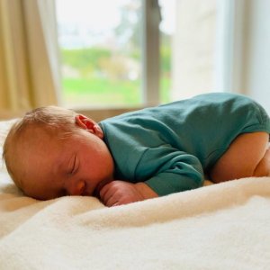 Milo Jakob