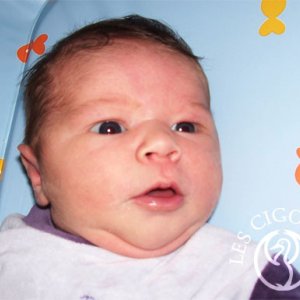 Lylou Loisel