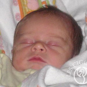 Esteban Jolissaint