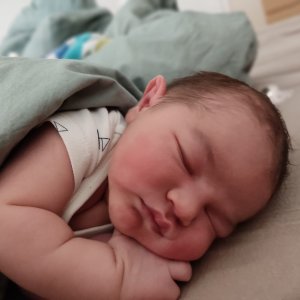 Caleb Chollet
