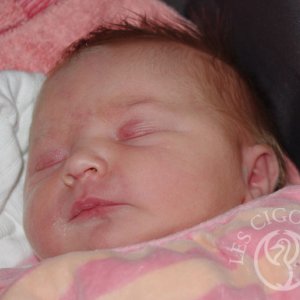 Zoé Loisel