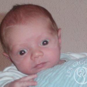 Dany Varin