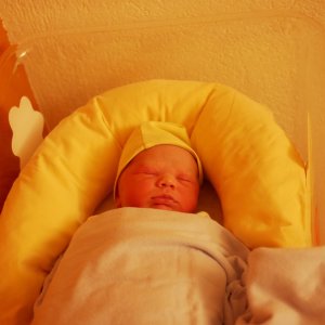 Daniel Schneller