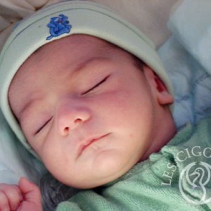 Vincent Elliot Leuenberg