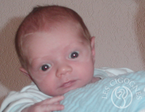 Dany Varin